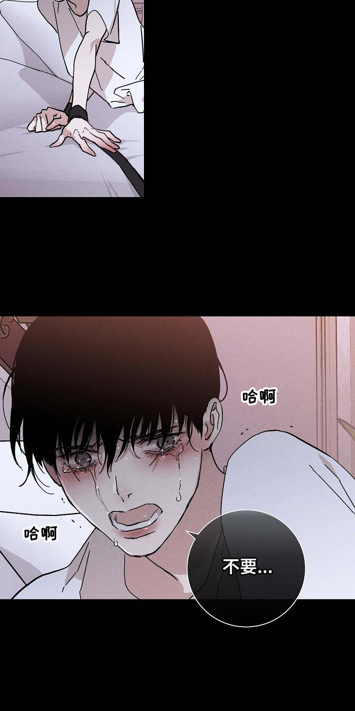 第104章： 【第二季】上等新品15