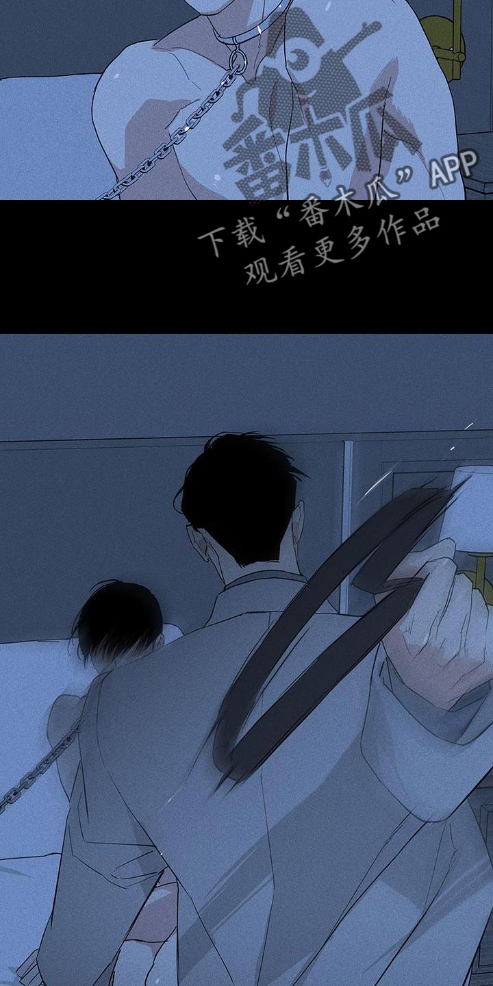 第161章：【第二季】真弱13