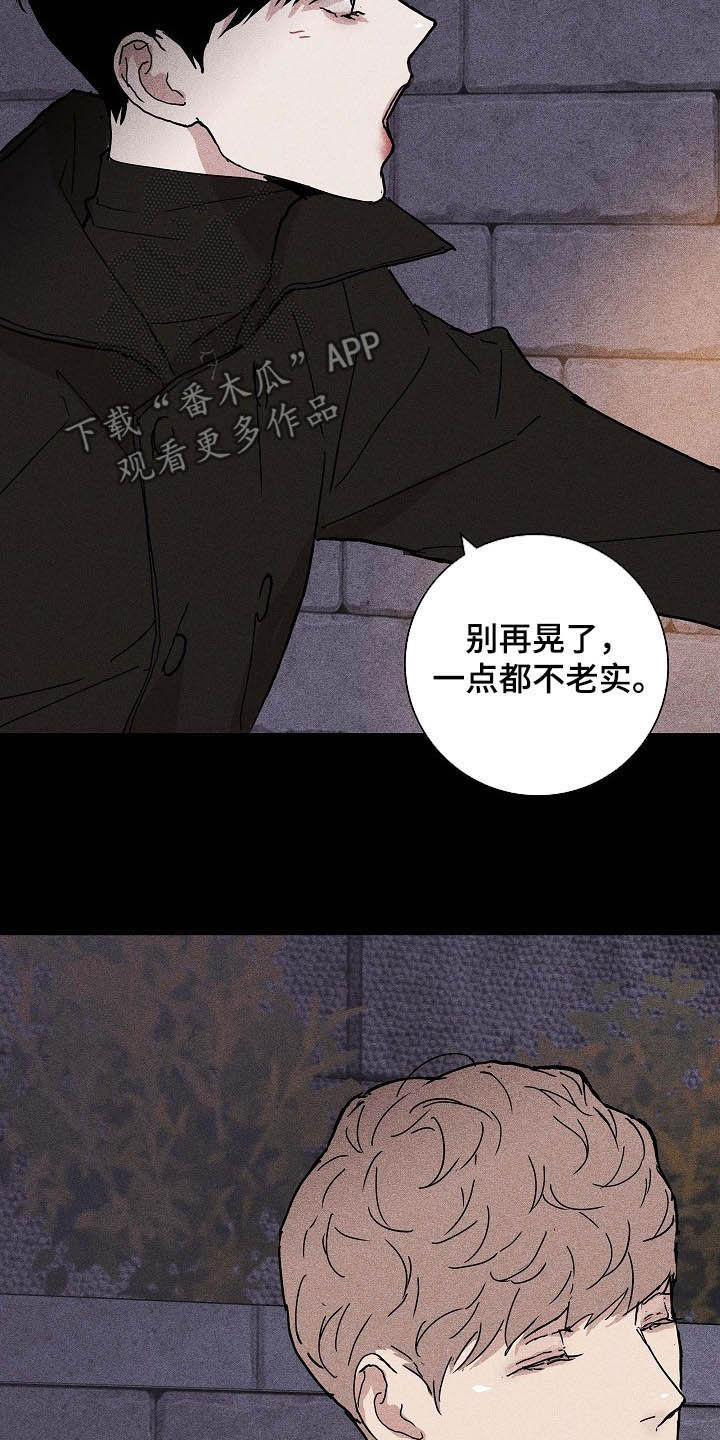 第50章：圣诞树15