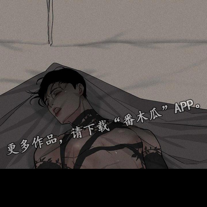 第134章：【第二季】黑新娘20