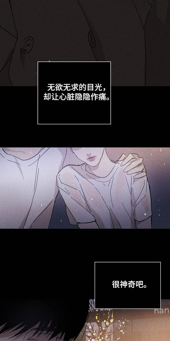第50章：圣诞树23