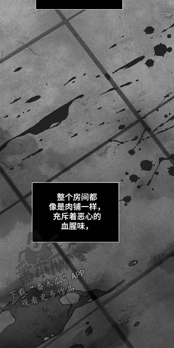 第47章：过往16