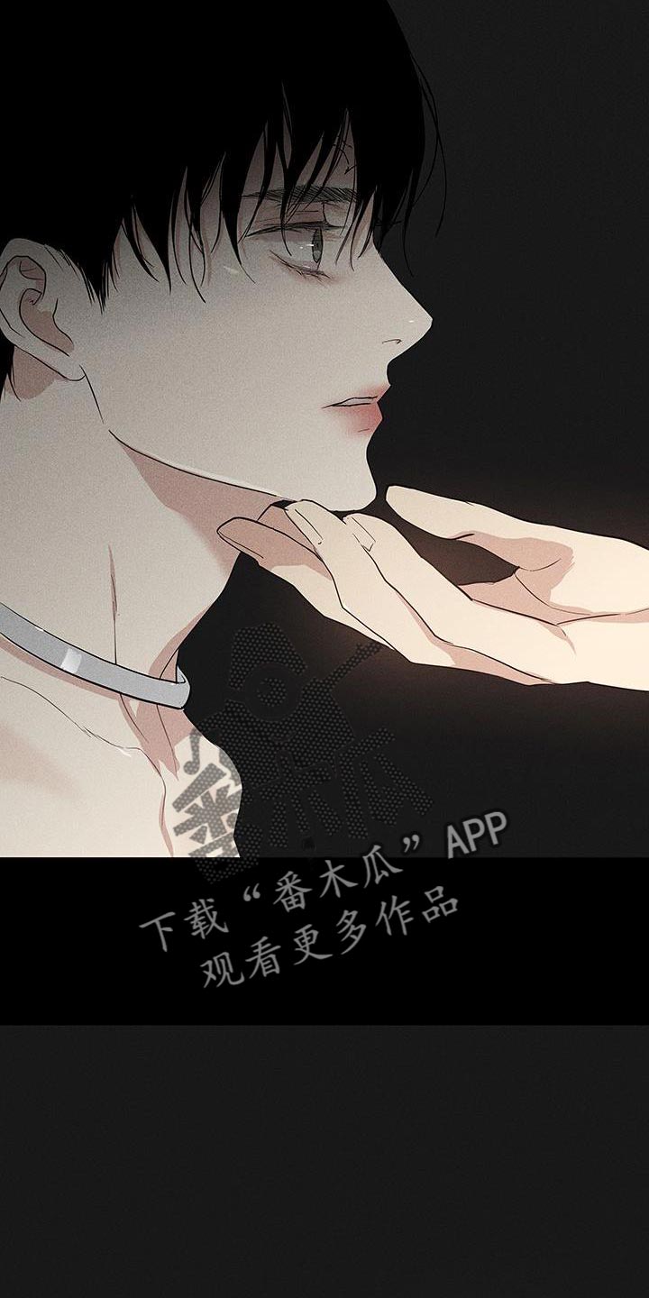 第164章：【第二季】超越那个极限19