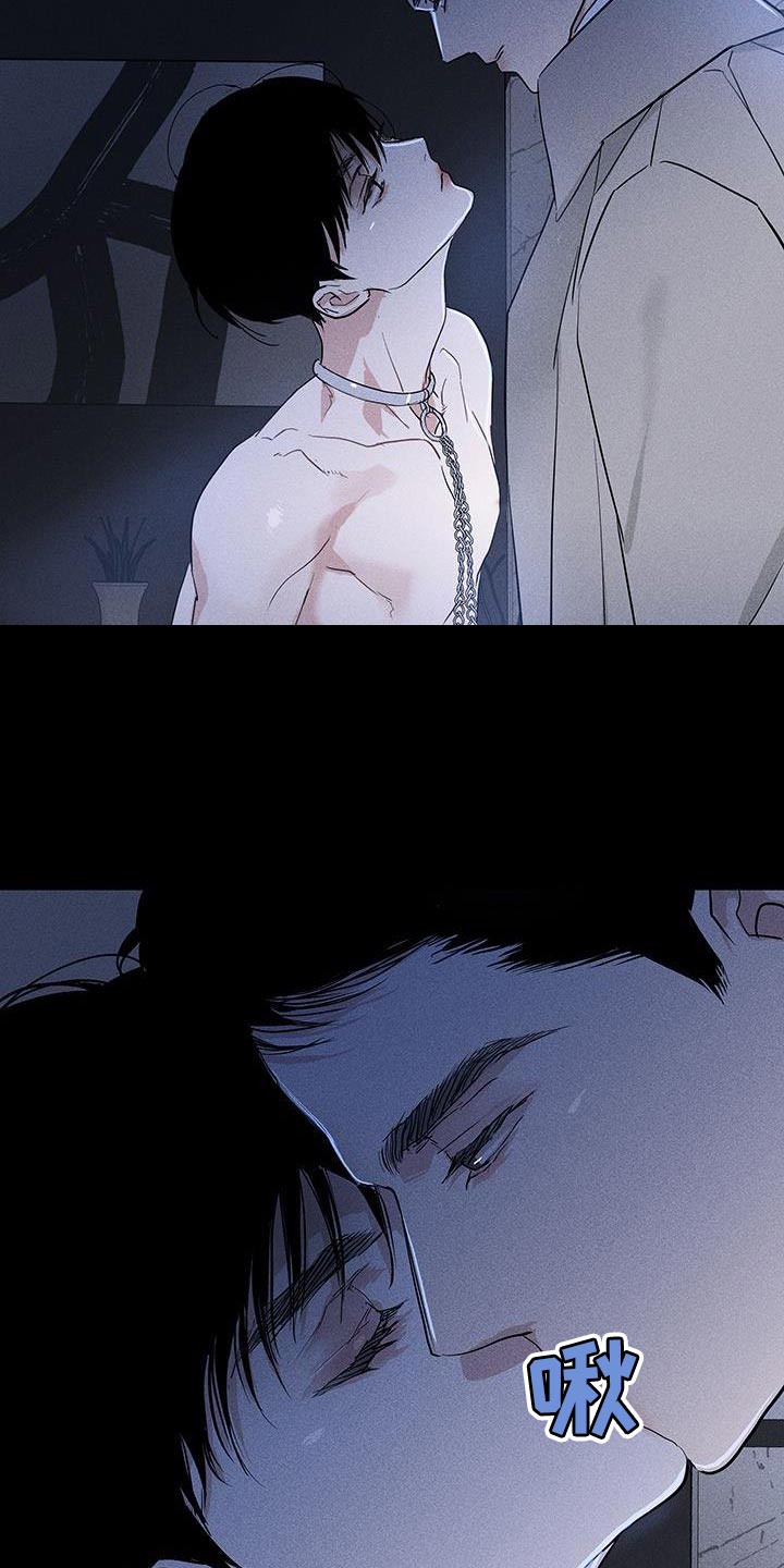 第166章：【第二季】不情不愿地猫25