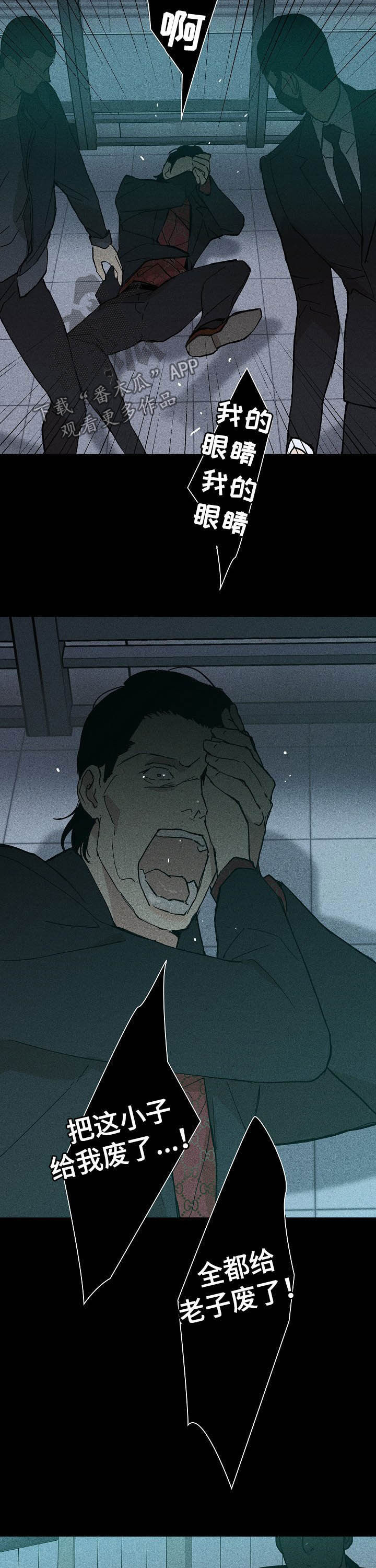 第41章：打群架12