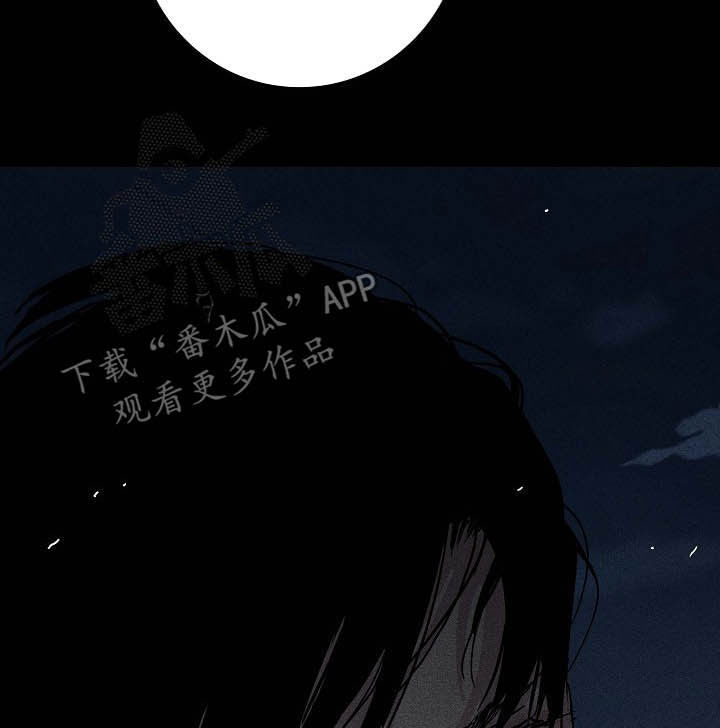 第52章：豪赌18