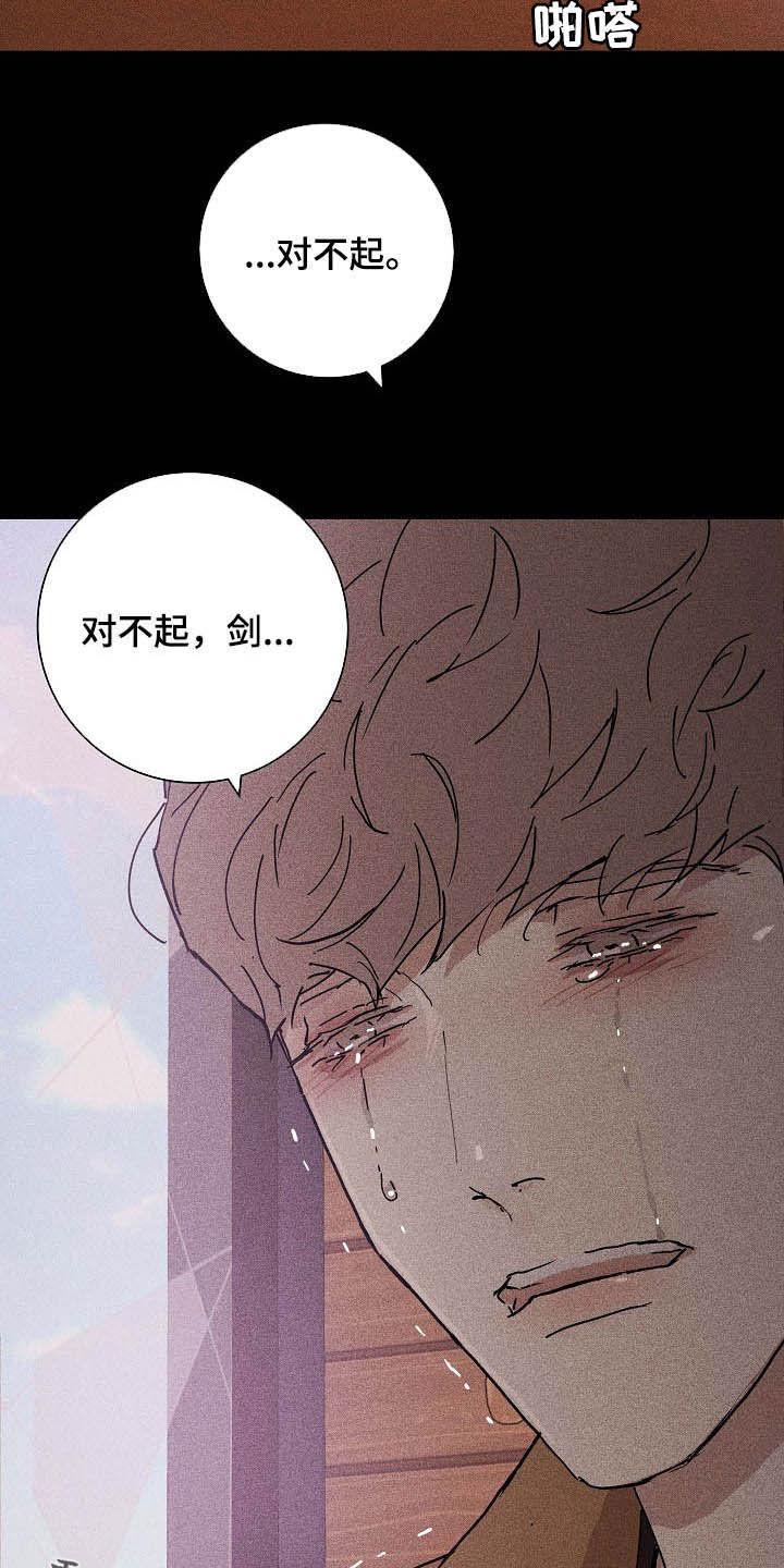 第47章：过往30