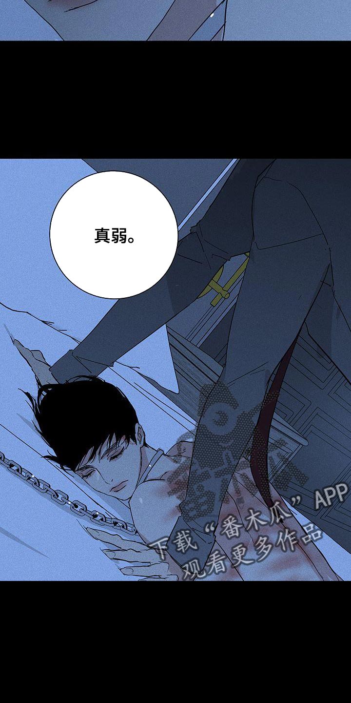 第161章：【第二季】真弱24
