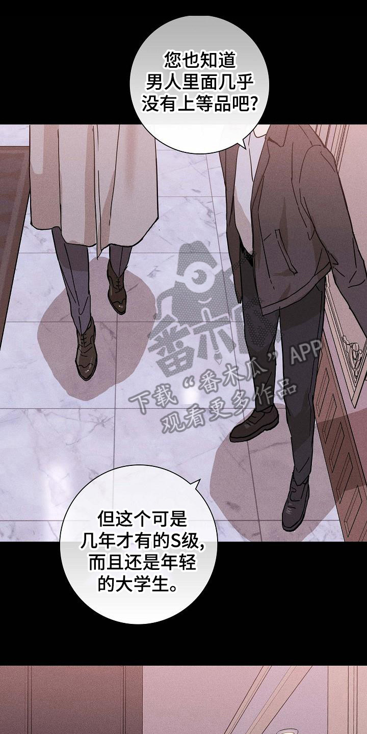 第104章： 【第二季】上等新品7