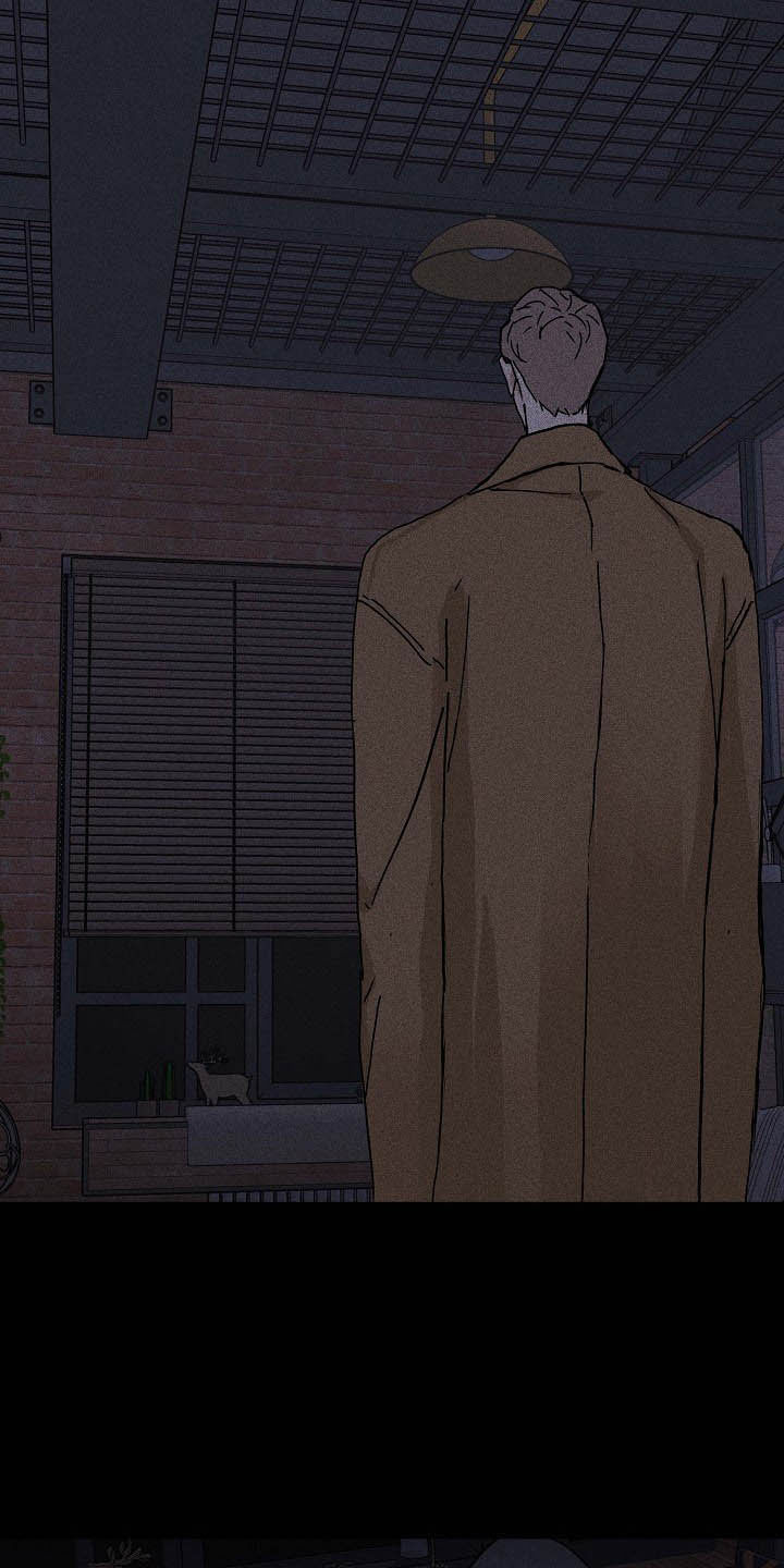 第48章：情感17