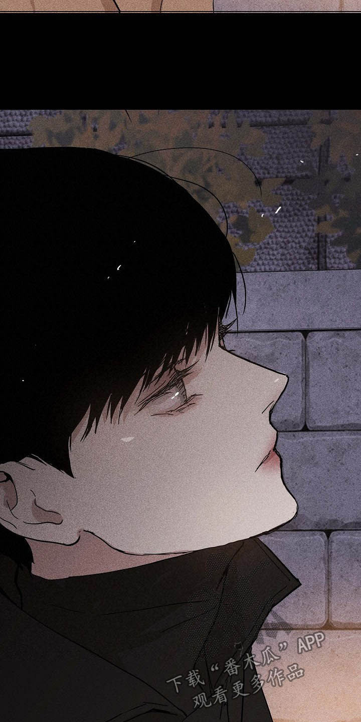 第50章：圣诞树19