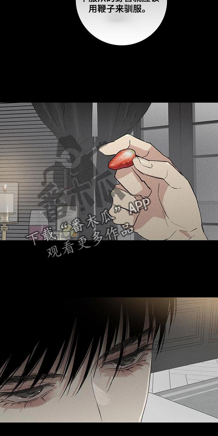 第162章：【第二季】太莽撞了13