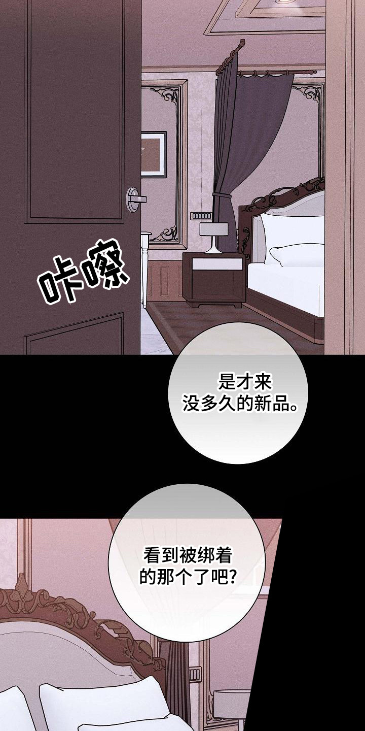 第104章： 【第二季】上等新品8
