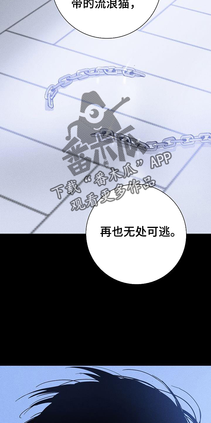 第168章：【第二季】调查5