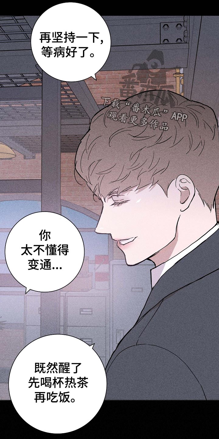 第73章：【第二季】伙伴22