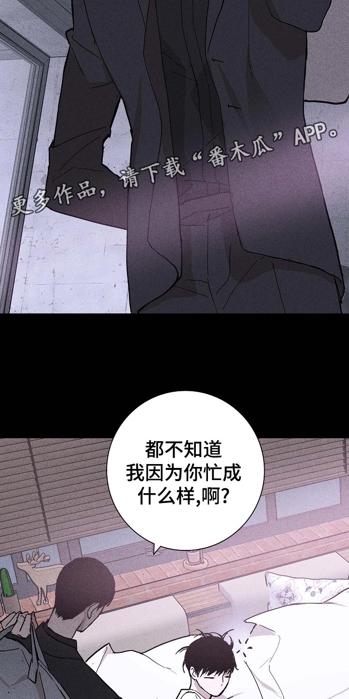 第73章：【第二季】伙伴14