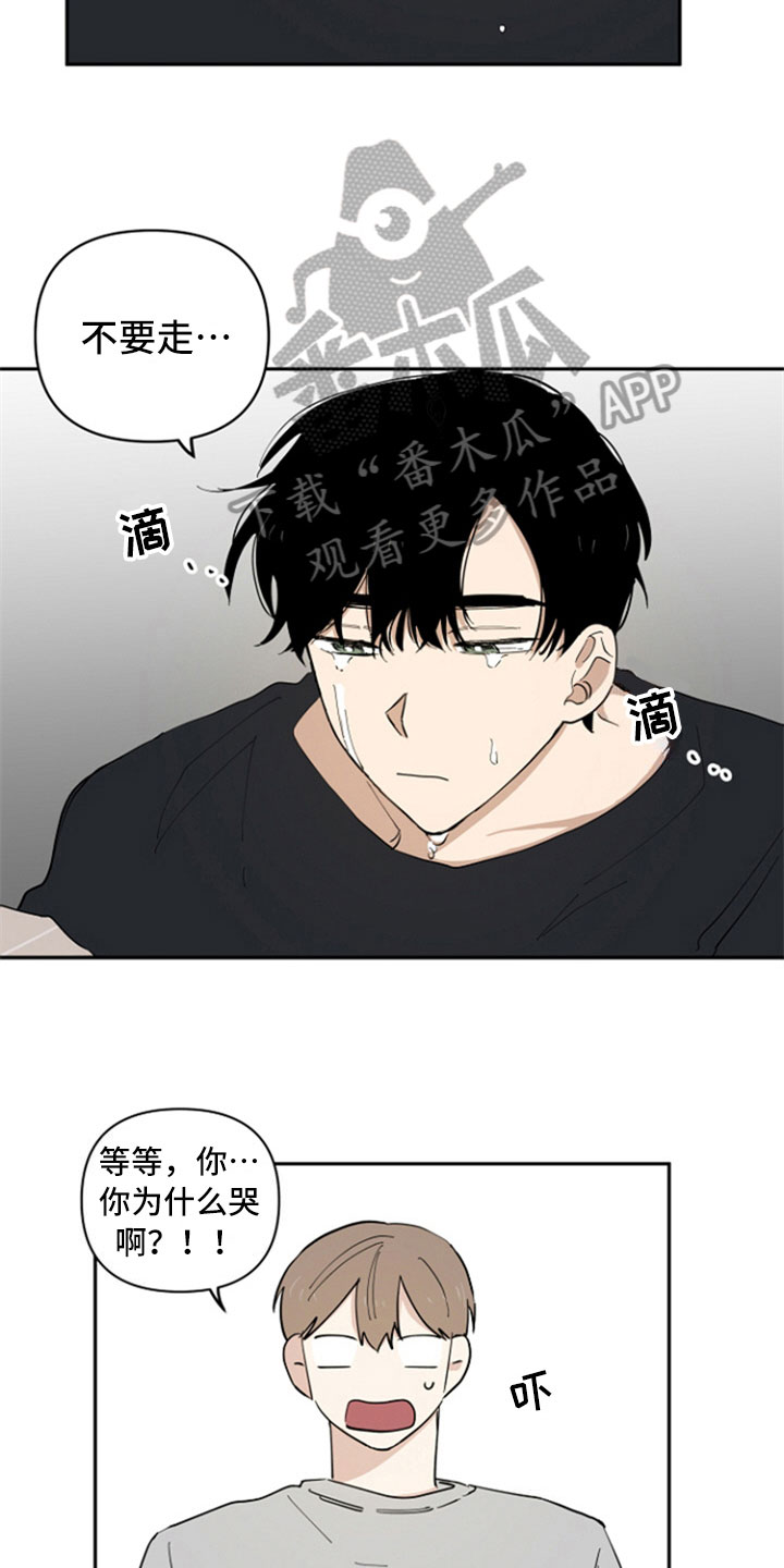 第13章：带回家12