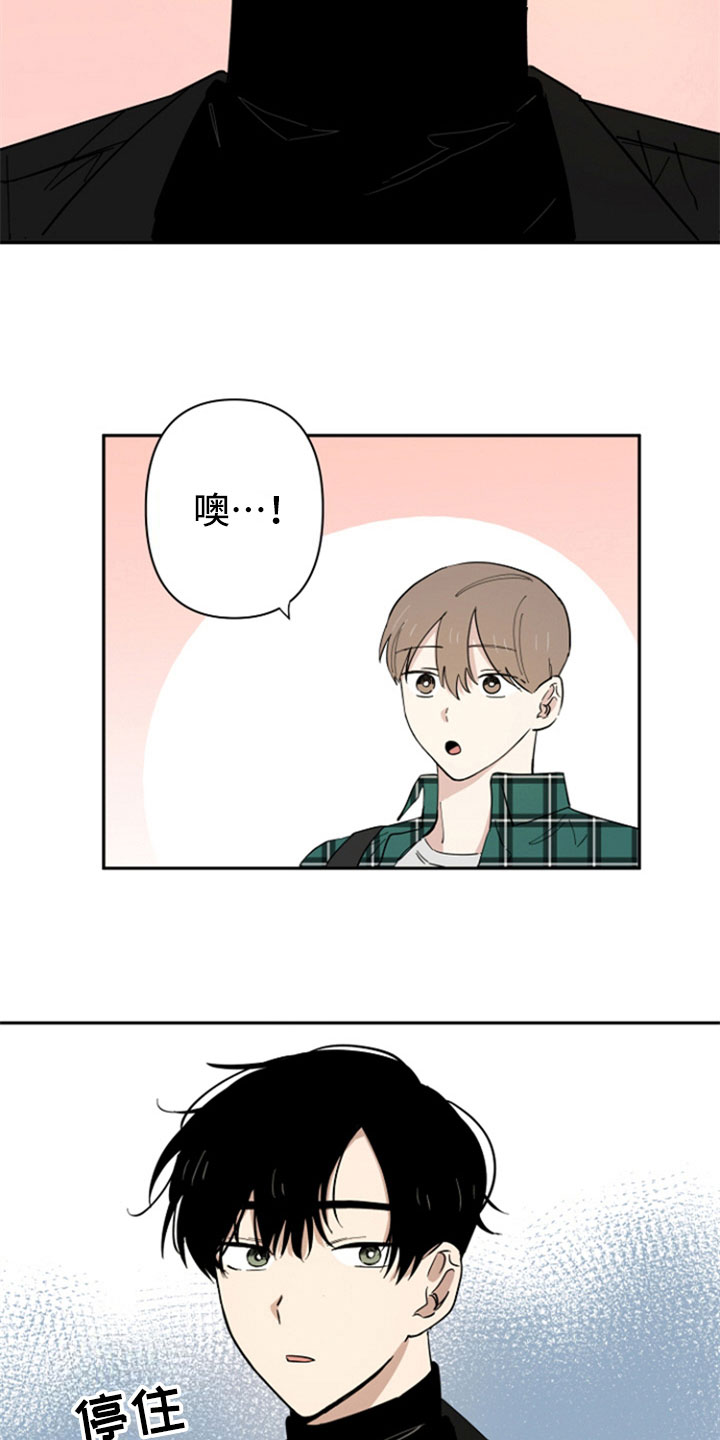 第3章：熟悉5