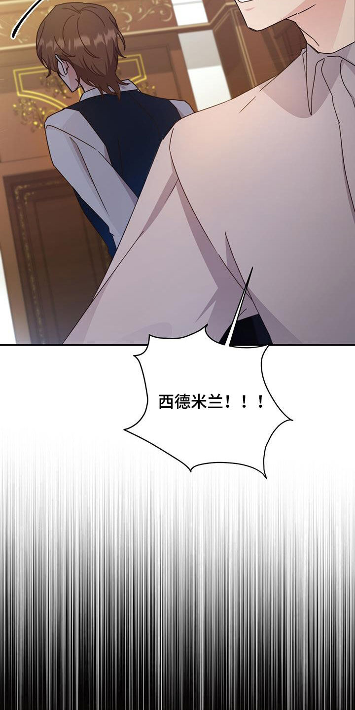 第40章：星星庆典14