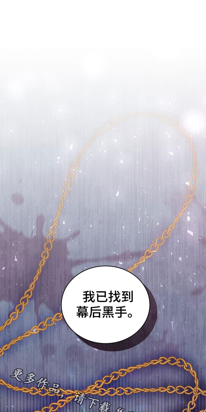 第33章：幕后黑手35