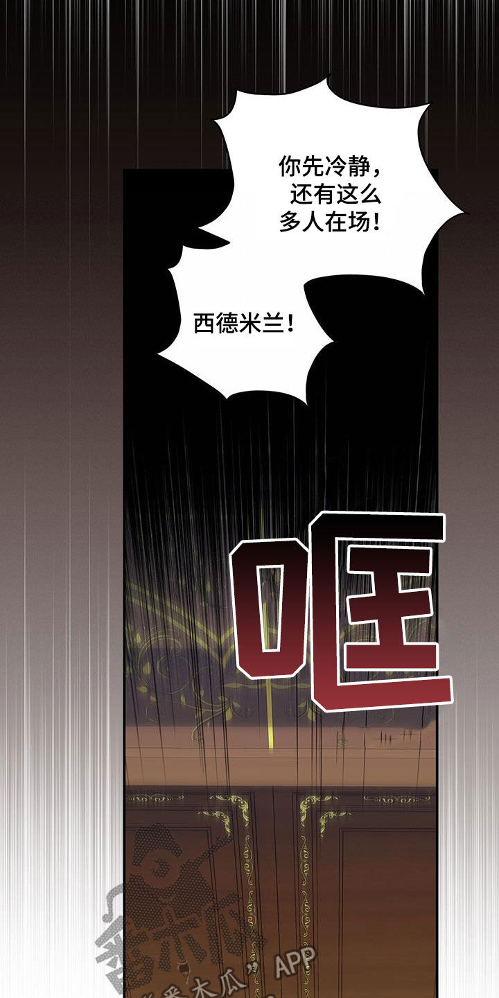第40章：星星庆典15