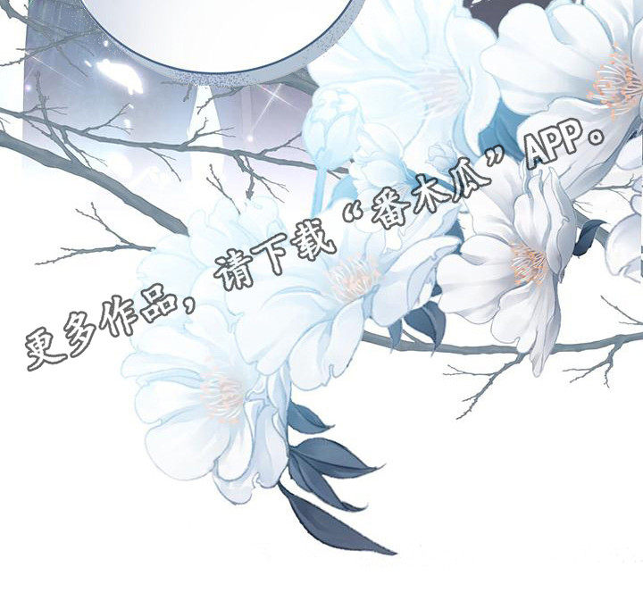 第8章：大夫人5
