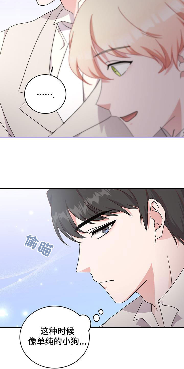 第33章：幕后黑手26
