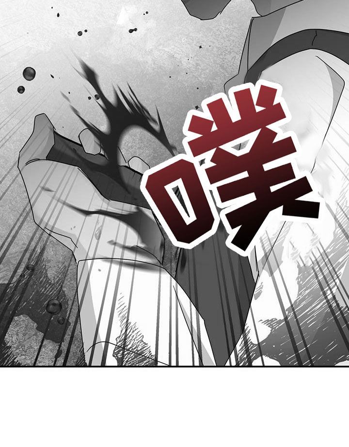 第33章：幕后黑手11