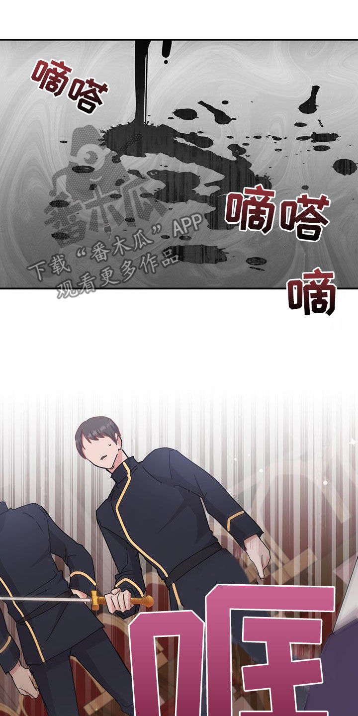 第33章：幕后黑手12