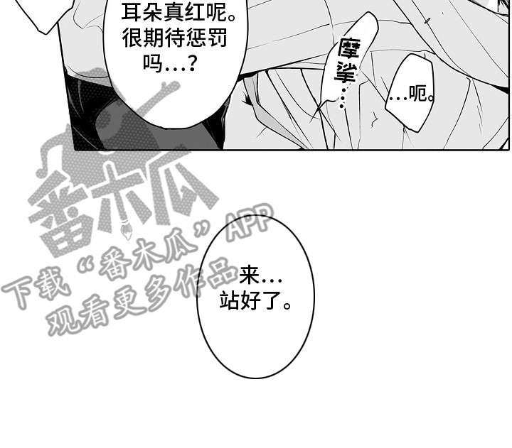 第16章：惩罚15