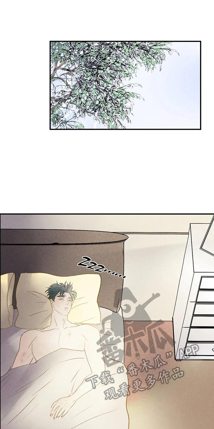 第7章：想念 13