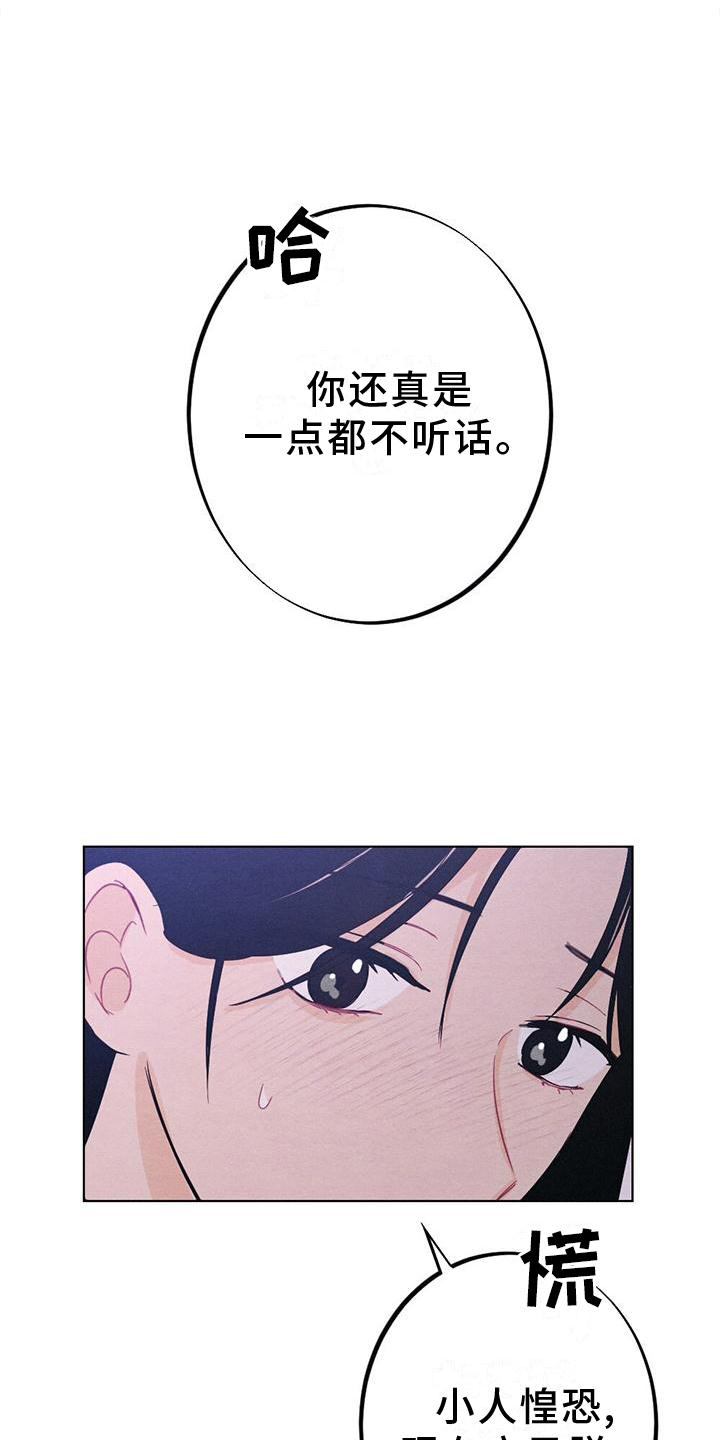 第19章：命令16