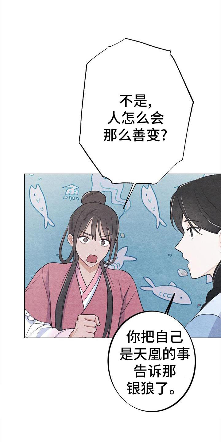 第33章：怎么办6