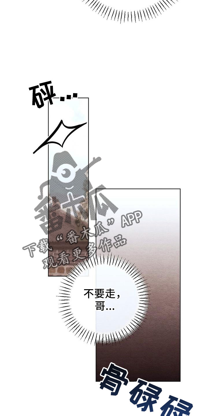 第52章：无法实现的梦15