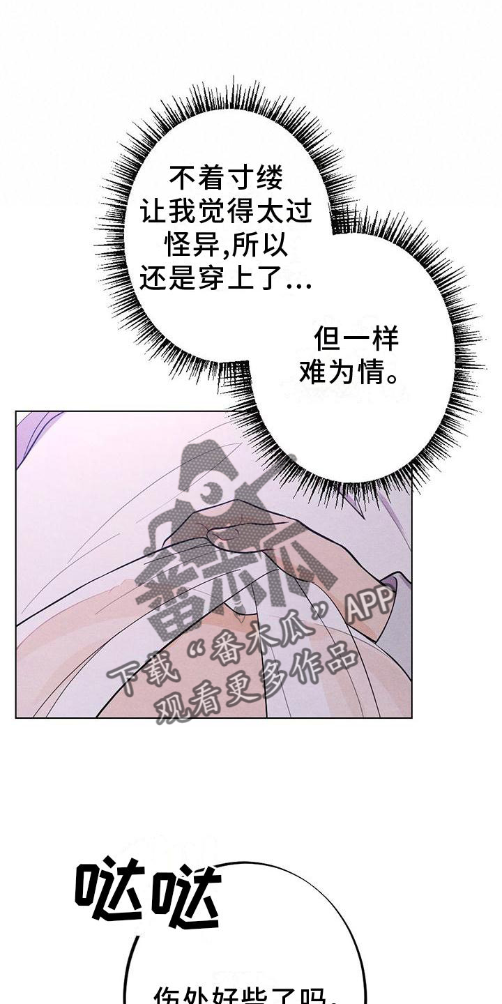 第19章：命令13