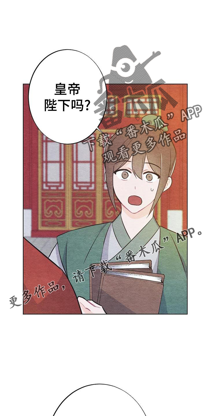 第29章：喜欢11
