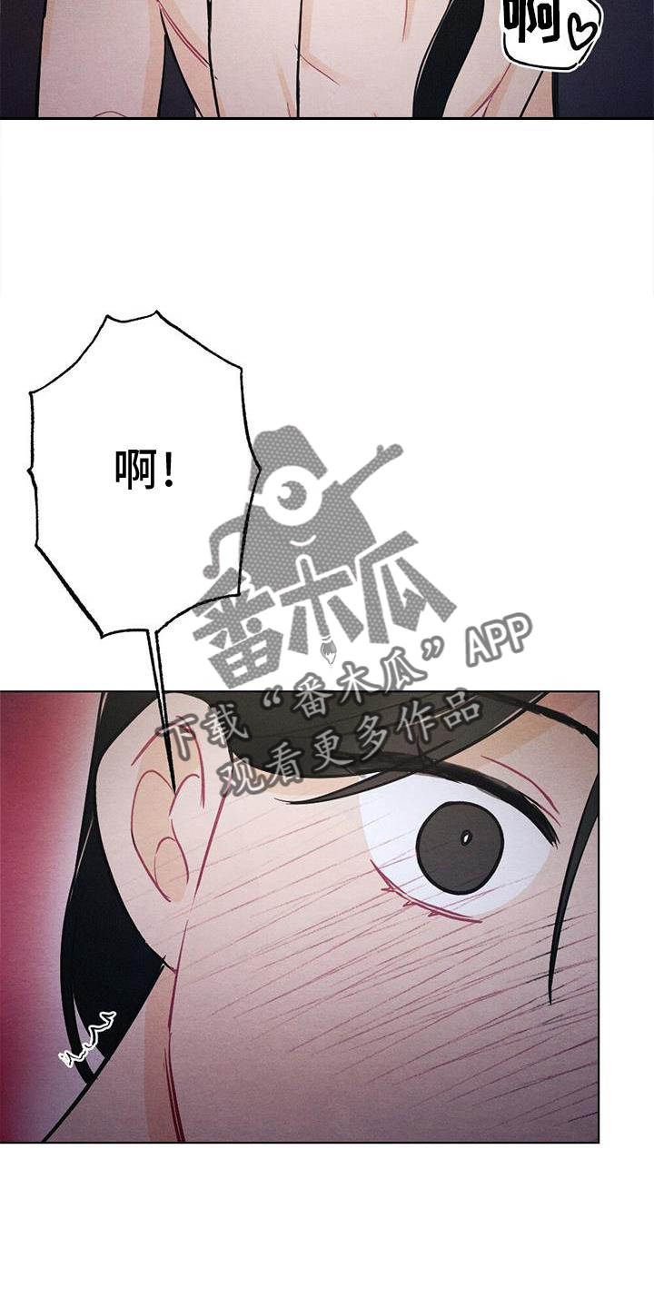 第31章：感觉11