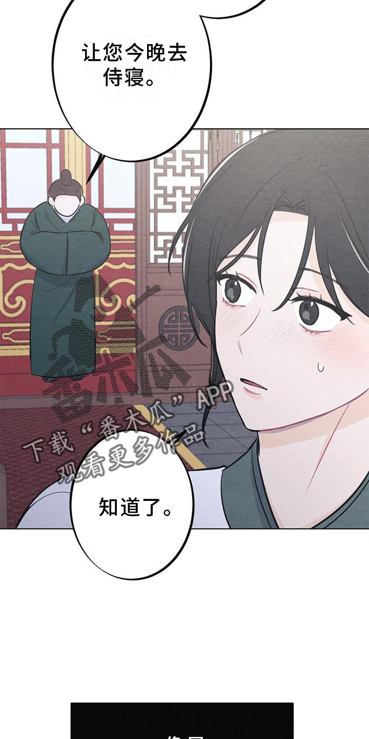第19章：命令8