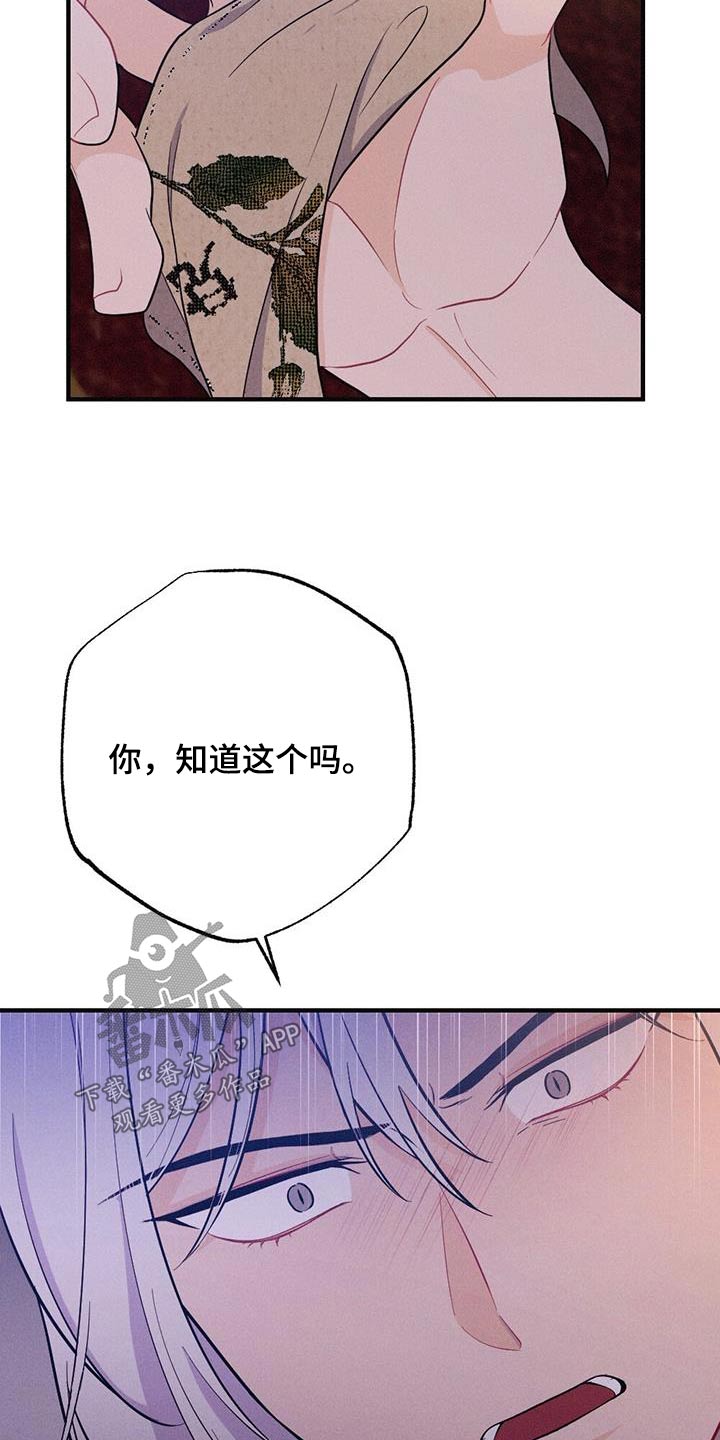 第82章：爱慕19