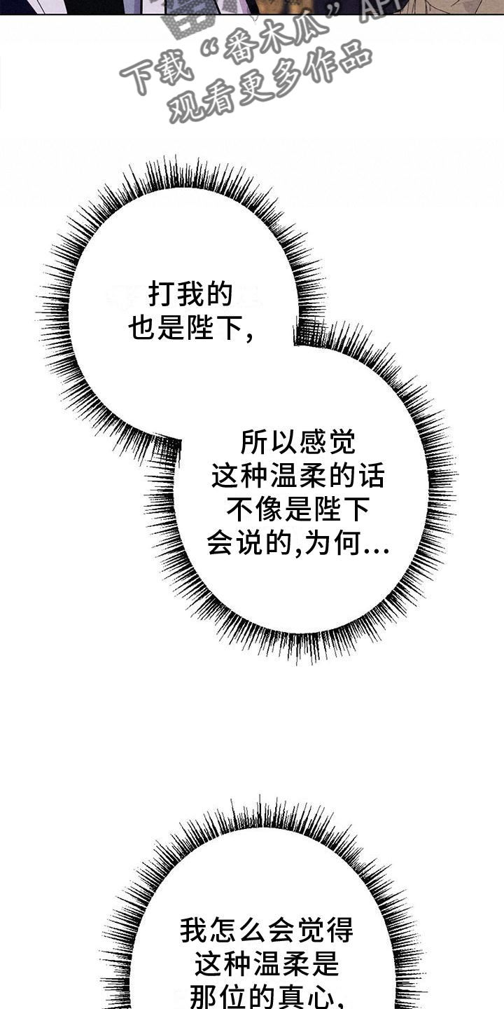 第19章：命令5