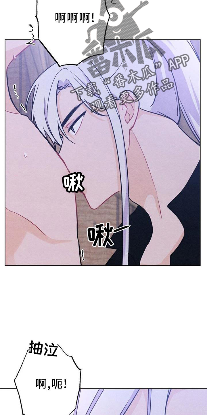 第41章：喜欢1