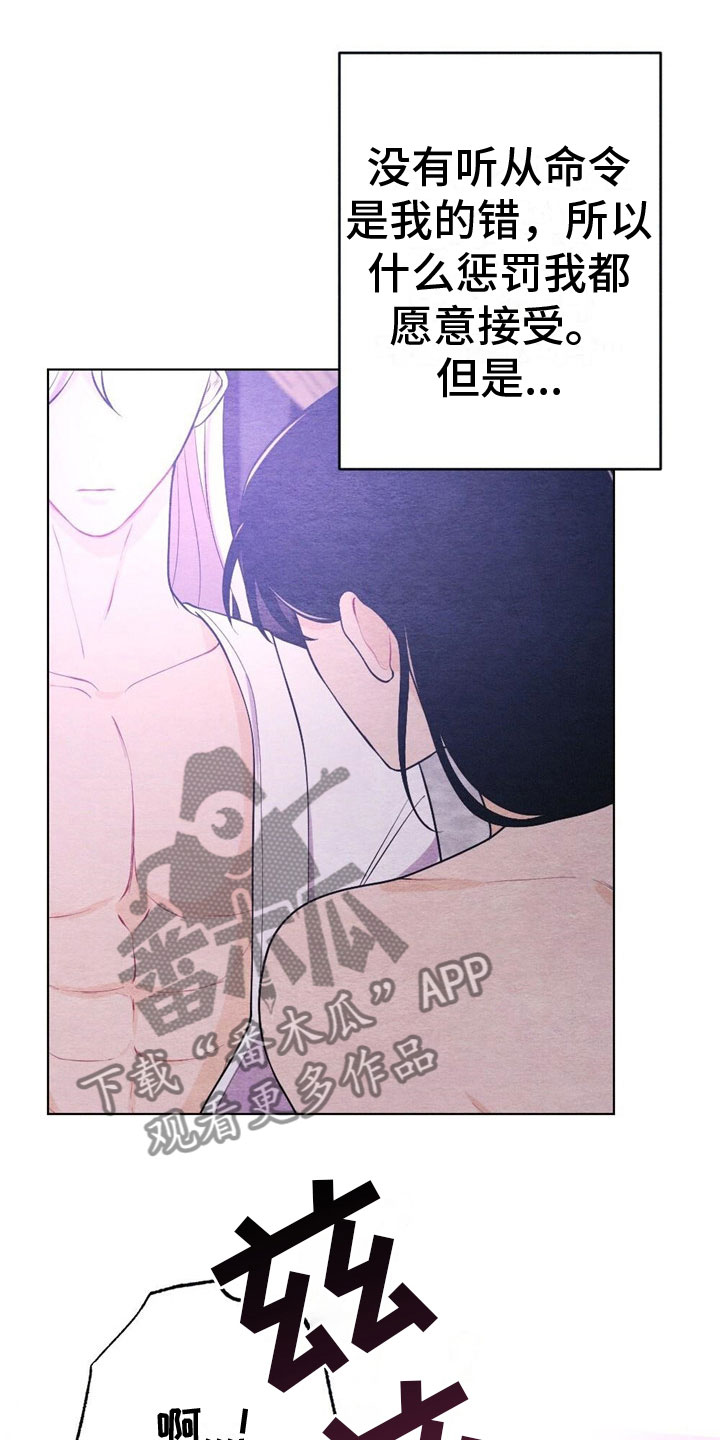 第17章：惩罚4