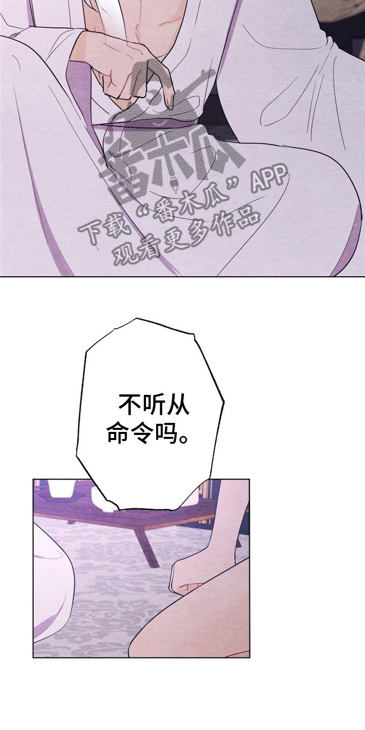 第17章：惩罚11