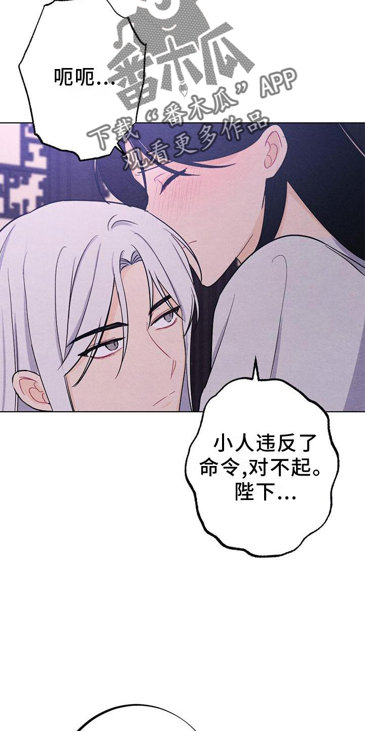 第19章：命令28