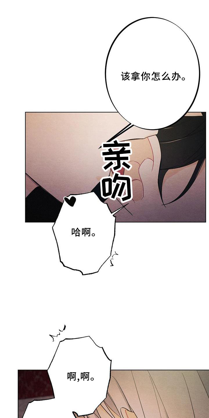 第31章：感觉12