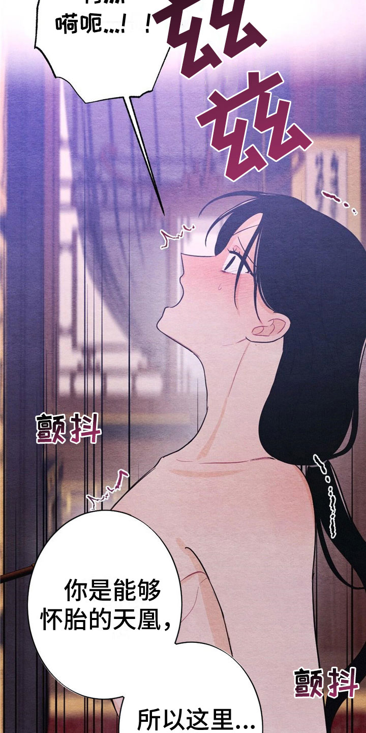 第17章：惩罚5