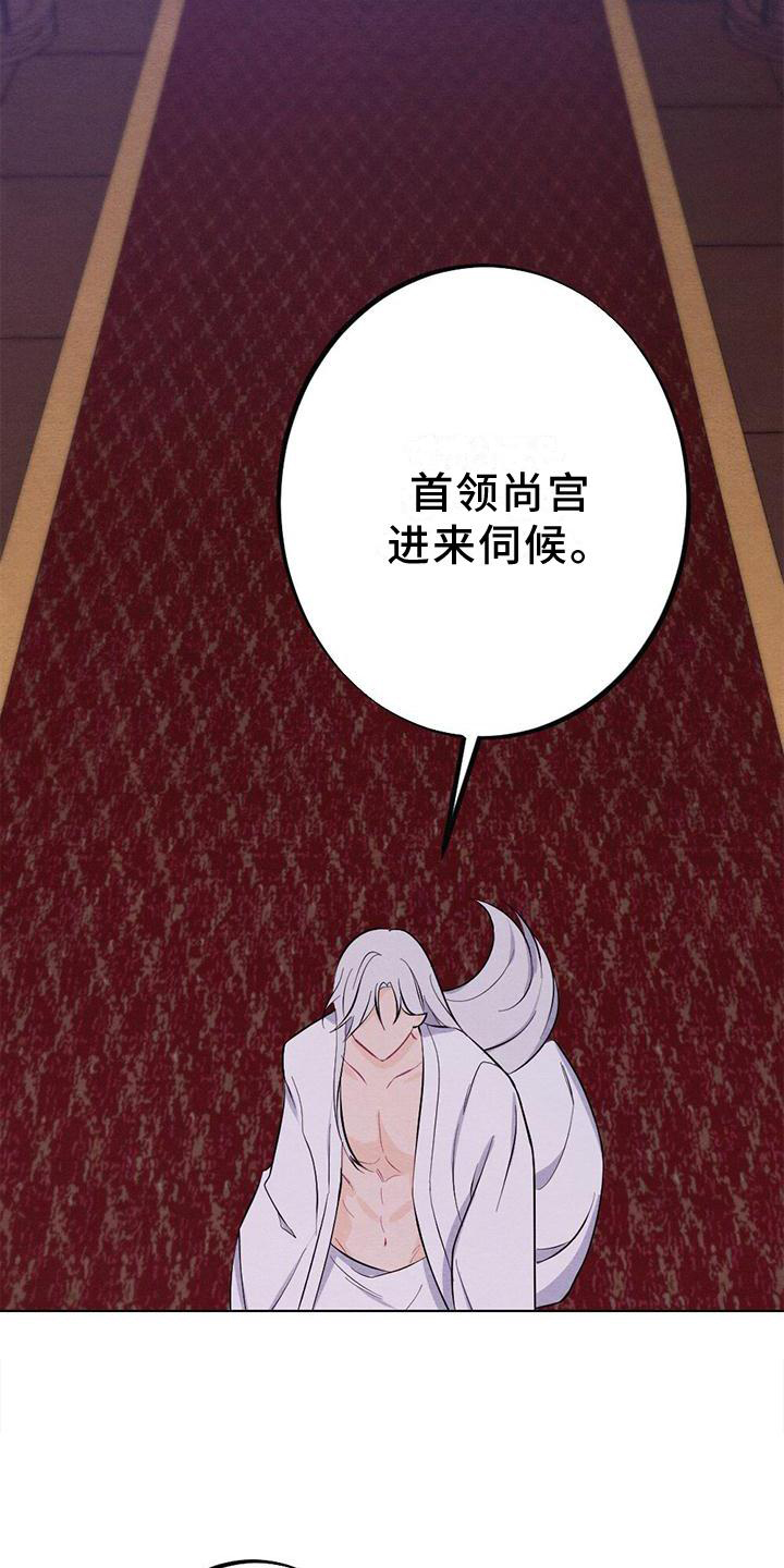 第18章：擦药26