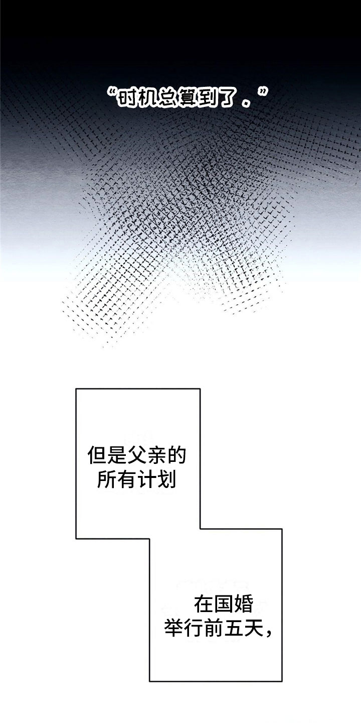 第3章：银狼族9