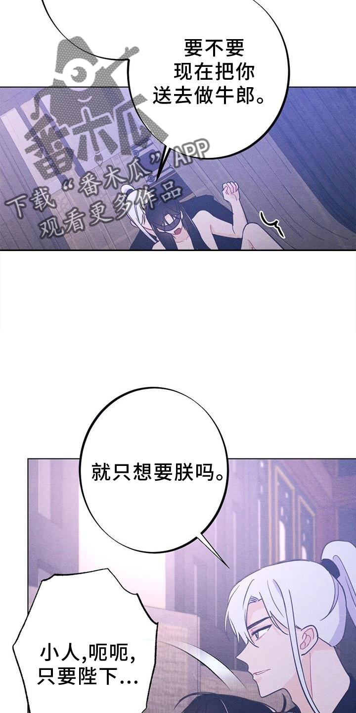 第41章：喜欢17