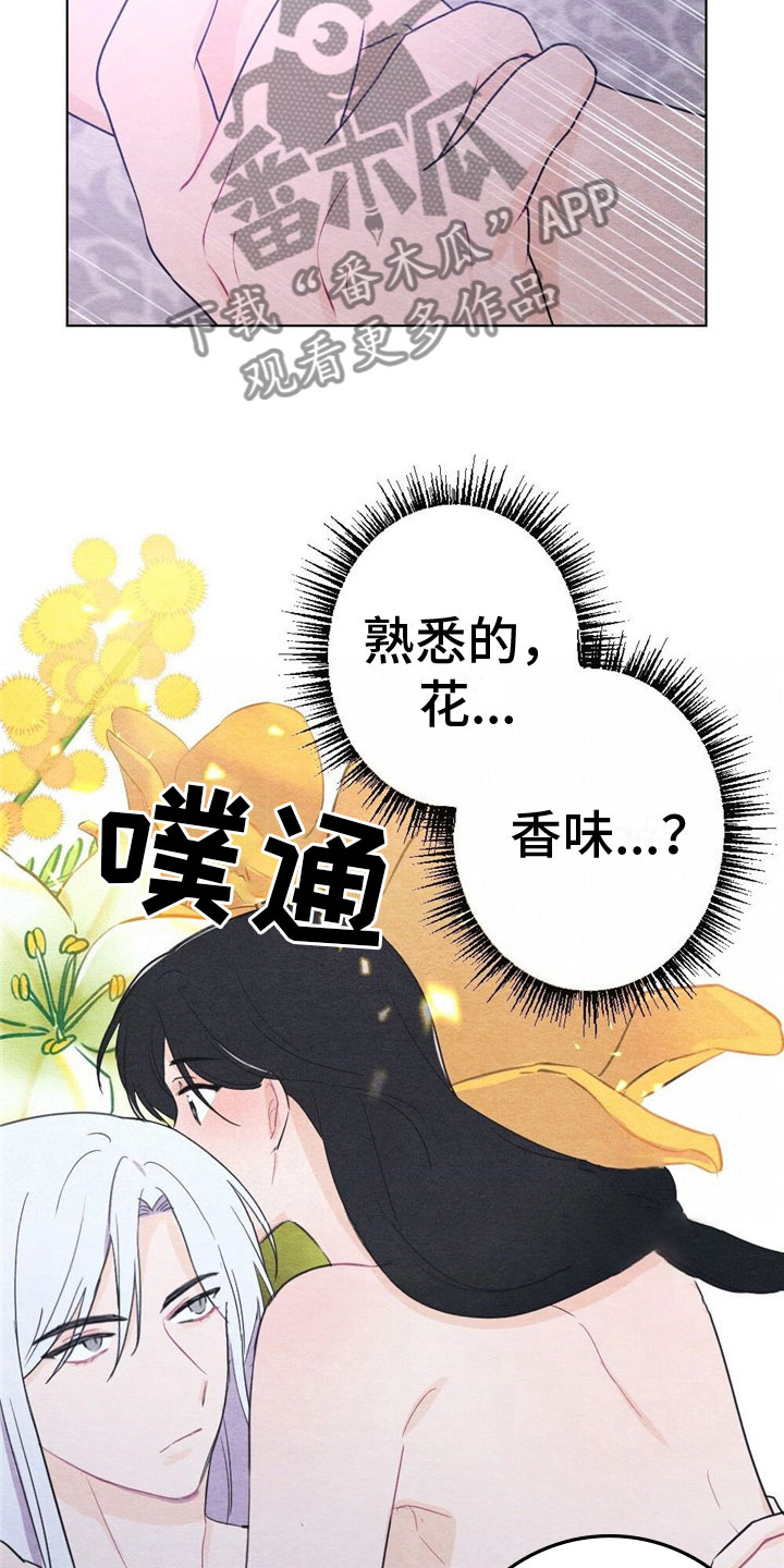 第17章：惩罚13